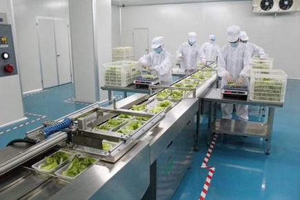 净菜设备助力康保打造京津冀菜篮子示范工程
