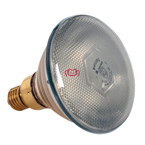 Lo<em></em>nGLIFE 保温灯灯泡250w（透明）