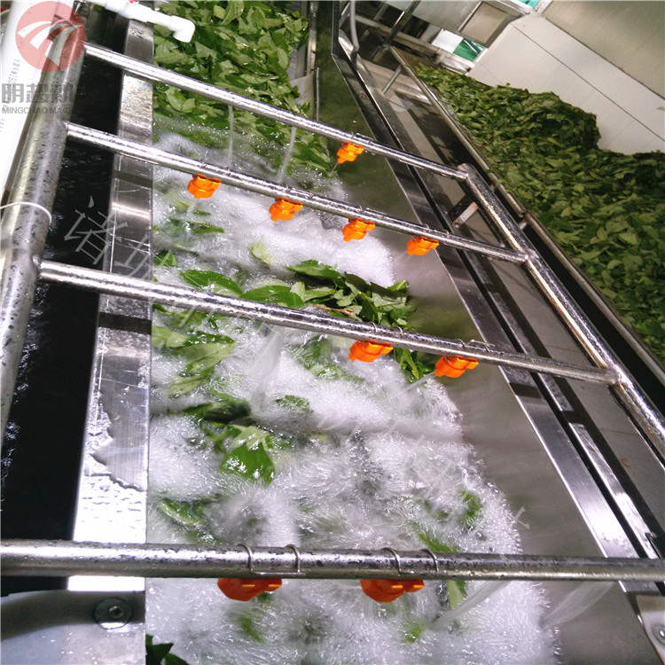 水果蔬菜高压喷淋气泡清洗机 多功能 全自动 厂家直供