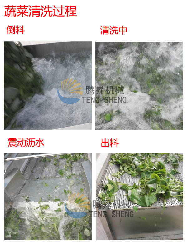 洗菜机 商用涡流洗菜机 震动沥水生产线 蔬菜清洗机 厂家直销