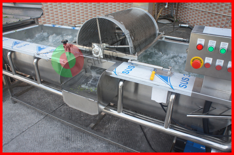 厂家直销气泡式臭氧杀菌生产线 中央厨房专用设备 洗菜机 商用
