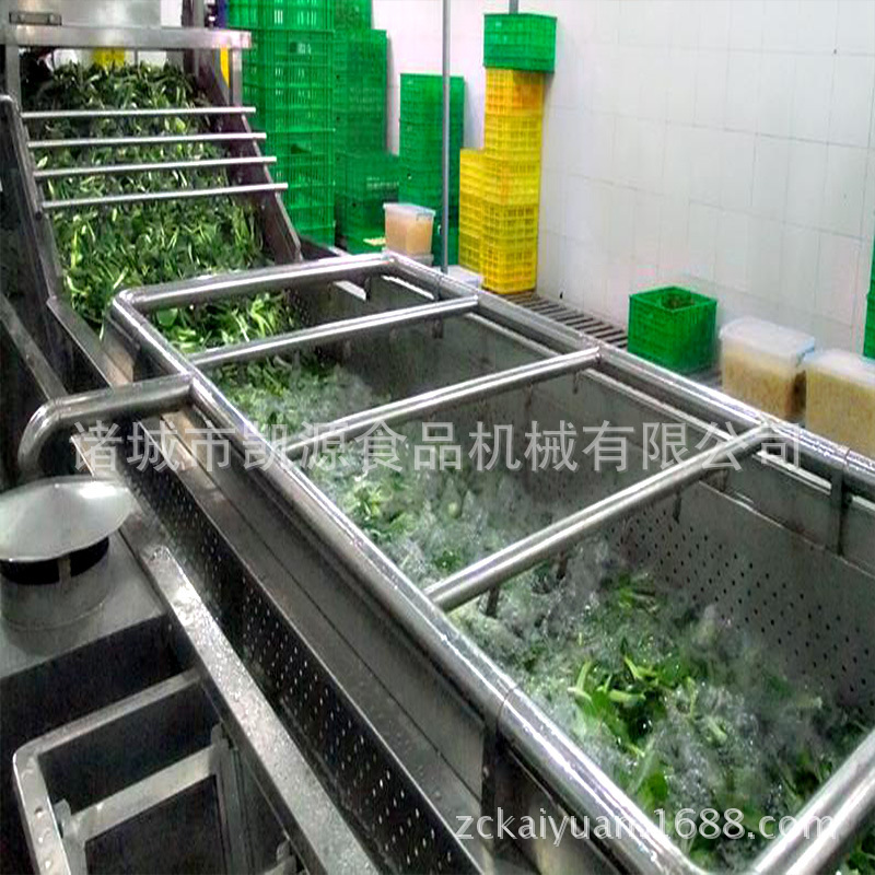 供应花菜清洗机循环水气泡冲浪洗菜机 商用速冻蔬菜清洗加工设备