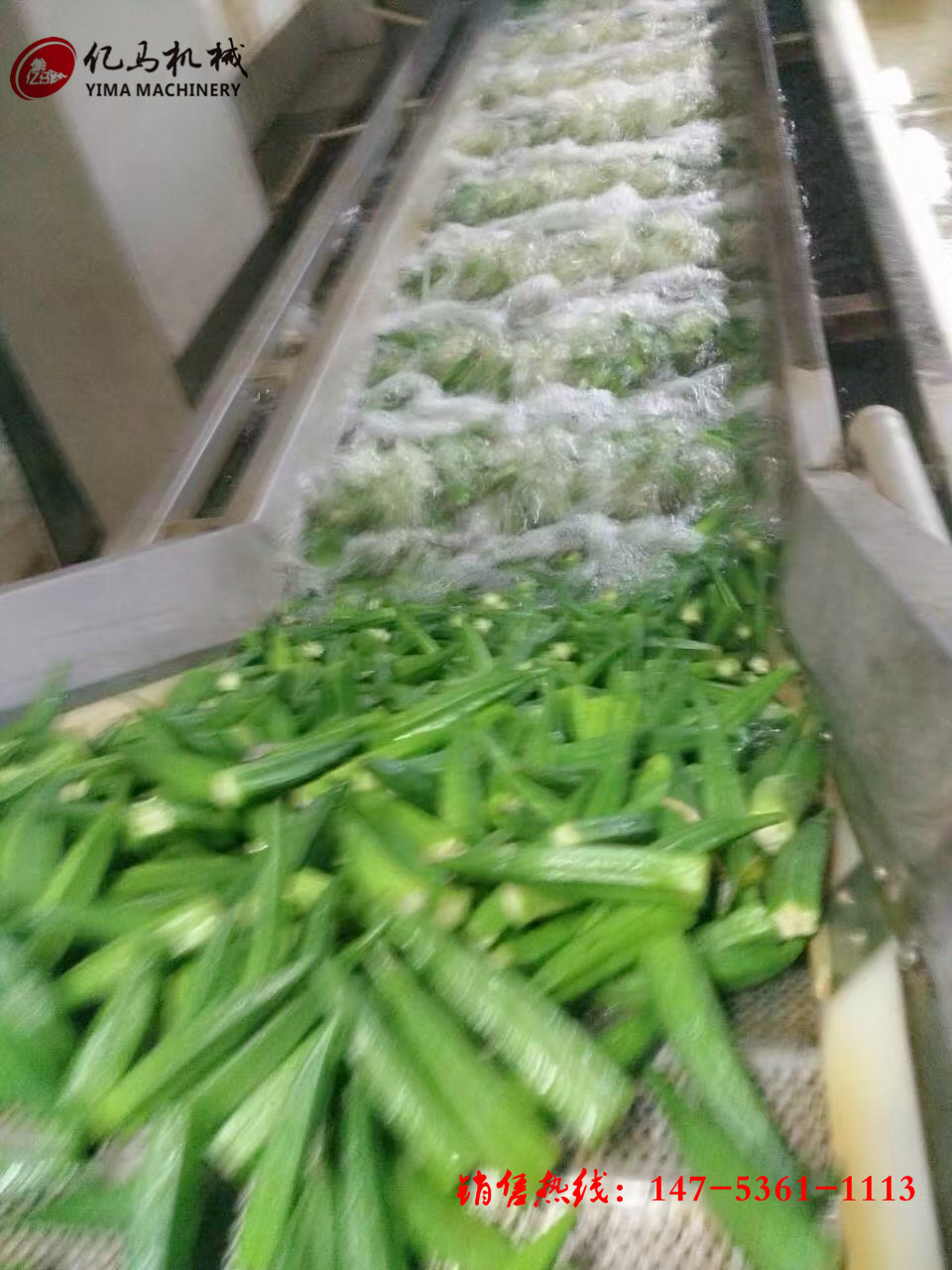鼓泡气泡清洗机 酱菜脱盐清洗机 商用洗菜机全自动果蔬清洗机