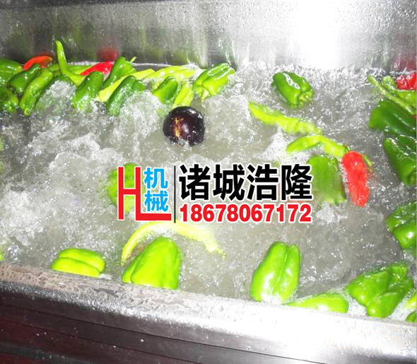 果蔬清洗机 酒店自动输送蔬菜清洗机 商用超声波洗菜机