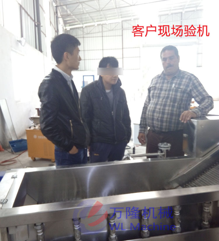 商用豆菜清洗机 智能甜豆洗菜机 气泡式架豆荷兰豆洗菜机
