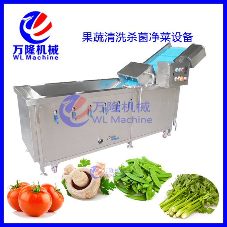 商用豆菜清洗机 智能甜豆洗菜机 气泡式架豆荷兰豆洗菜机