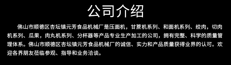 12台式商用不锈钢多功能电动绞肉机 小型家用切肉机碎肉机 灌肠机