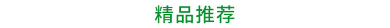 12台式商用不锈钢多功能电动绞肉机 小型家用切肉机碎肉机 灌肠机