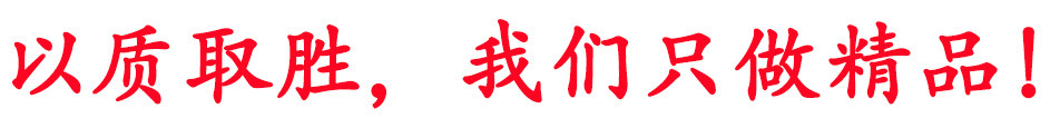 【食品级】不锈钢绞肉机 灌肠专用设备 多功能商用绞肉机
