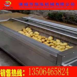 厂家生产批发萝卜土豆清洗专用设备 瓜果清洗机 商用不锈钢洗菜机