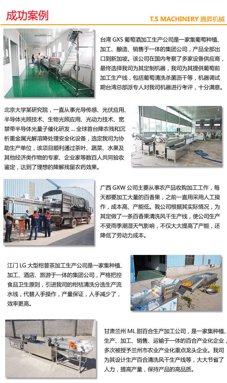 供应 小型台式多功能切碎机 商用电动食物切碎机 打碎机