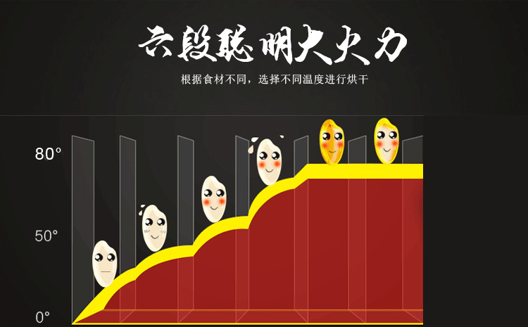 水果蔬菜脱水风干机 家用商用不锈钢干果机 宠物食品烘干机特价