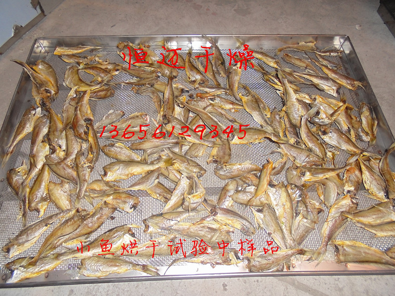 小鱼烘干样品