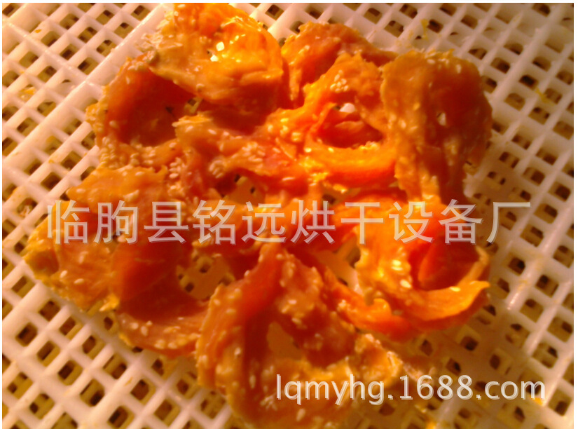 家商用不锈钢干果机水果蔬菜脱水风干药材宠物食品食物定时烘干机