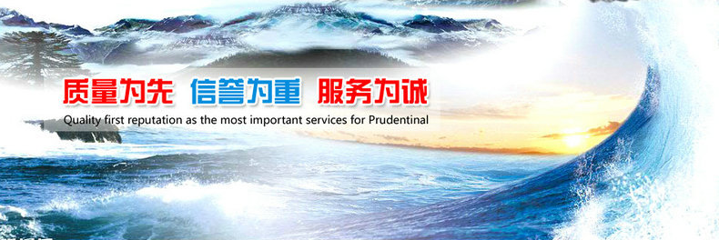 立达商用单缸单筛电炸炉LD-6LFE油炸锅 油炸炉6升煎炸炉炸鸡