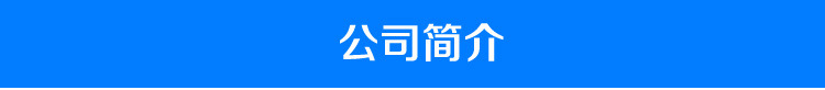 商用迷你炸锅/单缸油炸机器/燃气油炸锅商用/炸油条/炸薯条加厚型