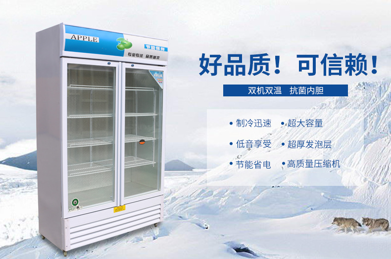 双门冷藏保鲜柜立式超市冷饮饮料柜 商用展示柜冷柜冰柜