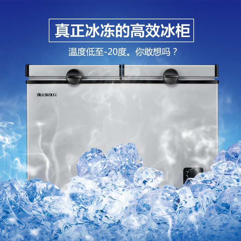 商用冰柜小冰柜家用双温冷柜速冻全冷冰冻冰箱冷藏冷冻双门