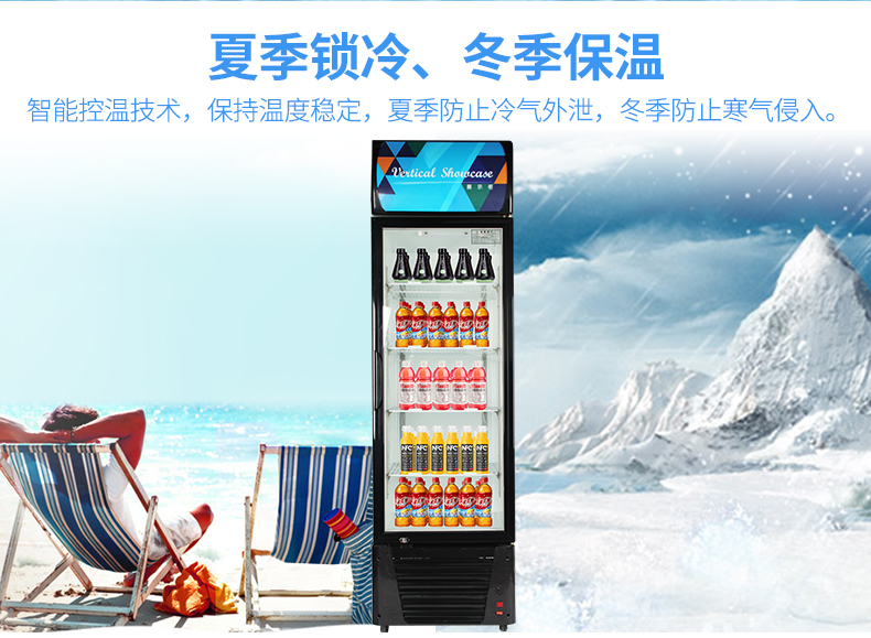 德玛仕商用展示柜冷藏 饮料展示柜 立式冰柜 冷冻立式双门-680L