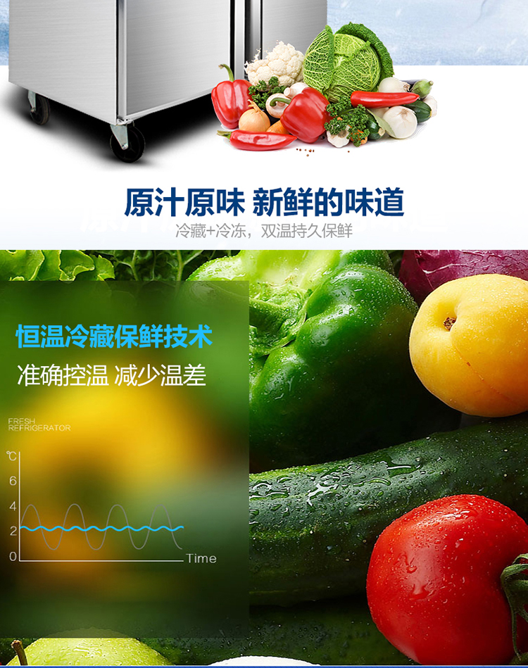 德玛仕商用展示柜冷藏 饮料展示柜 立式冰柜 冷冻立式双门-680L