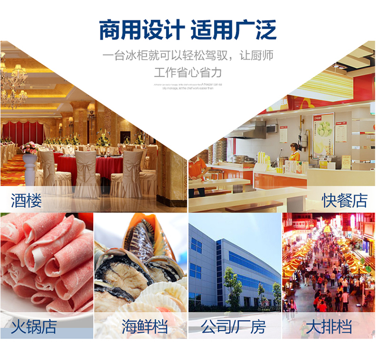 德玛仕商用展示柜冷藏 饮料展示柜 立式冰柜 冷冻立式双门-680L