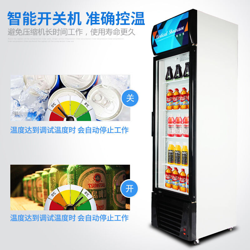德玛仕商用展示柜冷藏 饮料展示柜 立式冰柜 冷冻立式双门-680L