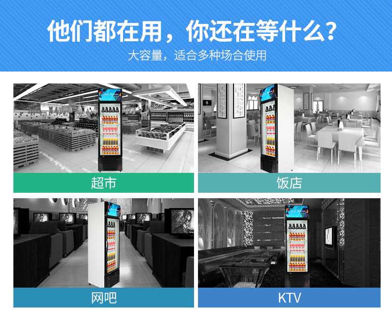 德玛仕商用 展示柜立式冰柜商用 士多小卖部冷藏柜 双门-760L