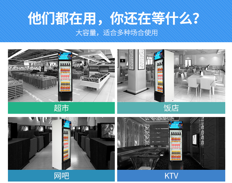 德玛仕商用 展示柜立式冰柜商用 士多小卖部冷藏柜 双门-760L