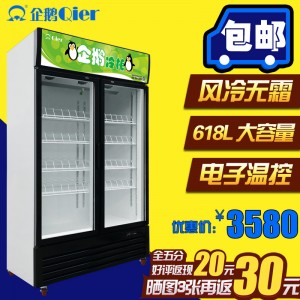 商用冰箱双门超市冰柜饮料啤酒保鲜冷藏展示柜立式双门铜管风冷