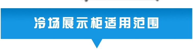 厂家直销冰柜批发 立式双门商用冰箱便利店展示柜超市饮料陈列柜