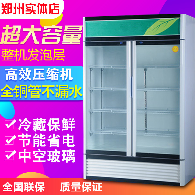 浩博展示柜冷藏柜立式商用冰柜冰箱啤酒饮品保鲜柜双门单门饮料柜