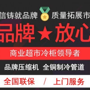 冰柜商用卧式冷藏冷冻单温双门顶开家用大冷柜大容量全铜管节能