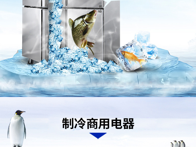 睿美 四门冰箱冰柜冷柜冷藏冷冻保鲜柜六门 商用厨房冰箱展示冰柜