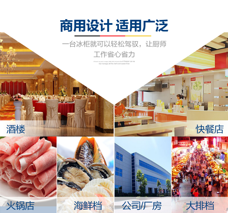 德玛仕商用立式六门冰柜商用六门立式 展示柜 -KCD1.6L6 全冷藏