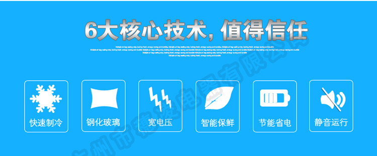 穗凌 WD4-580商用冷冻大型冰柜卧式单温大容量冷柜超市海鲜展示柜