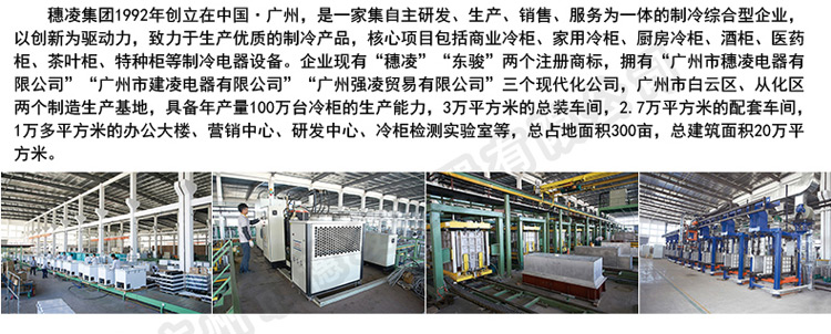 穗凌 WD4-580商用冷冻大型冰柜卧式单温大容量冷柜超市海鲜展示柜