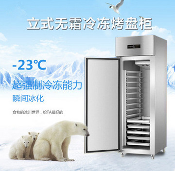 新品商用冰柜冷冻鲜肉饺子包子超市低温单岛卧式岛柜保鲜冷藏设备