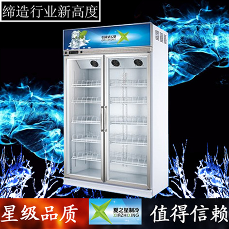 夏之星双开门立式展示冷柜保鲜柜冰柜商用便利店冷柜饮料柜