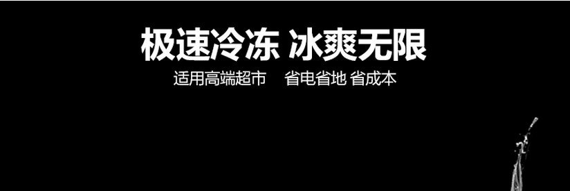 厂家直销冰柜立式五门冷藏陈列柜 饮料展示冰箱 超市便利店保鲜柜