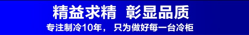 厂家直销冰柜立式五门冷藏陈列柜 饮料展示冰箱 超市便利店保鲜柜