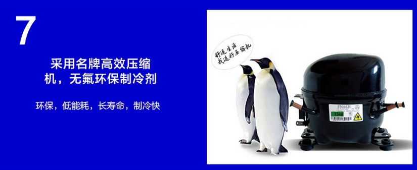 厂家直销冰柜立式五门冷藏陈列柜 饮料展示冰箱 超市便利店保鲜柜