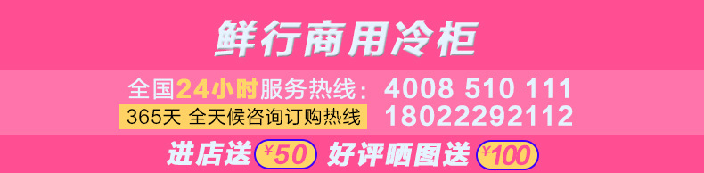 冷鲜肉冻丸子食品展示冰柜冷柜单温风冷冷冻柜饺子柜