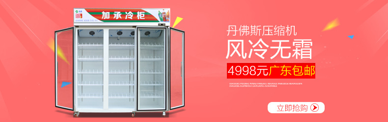 冷鲜肉冻丸子食品展示冰柜冷柜单温风冷冷冻柜饺子柜