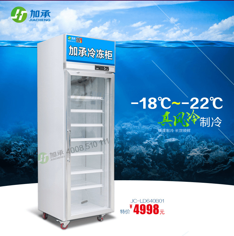 冷鲜肉冻丸子食品展示冰柜冷柜单温风冷冷冻柜饺子柜
