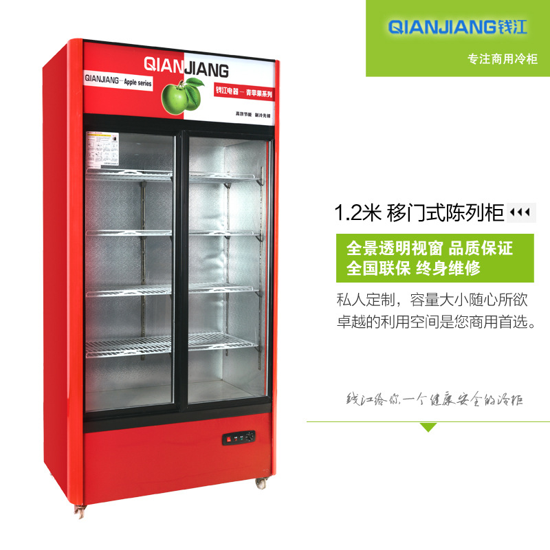 钱江立式双门展示冰柜 冷冻超市展示冰柜 饮料啤酒陈列冷柜1.2米