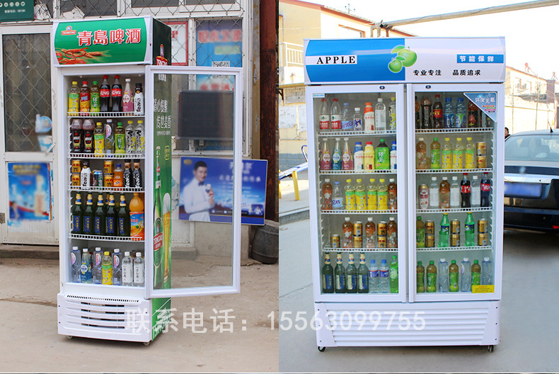 商用单双三门啤酒柜单温饮品冷藏展示柜水果茶叶饮料保鲜柜冰箱
