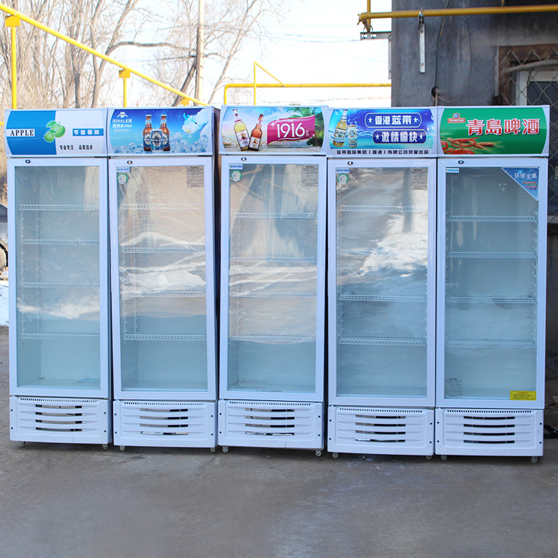 商用单双三门啤酒柜单温饮品冷藏展示柜水果茶叶饮料保鲜柜冰箱