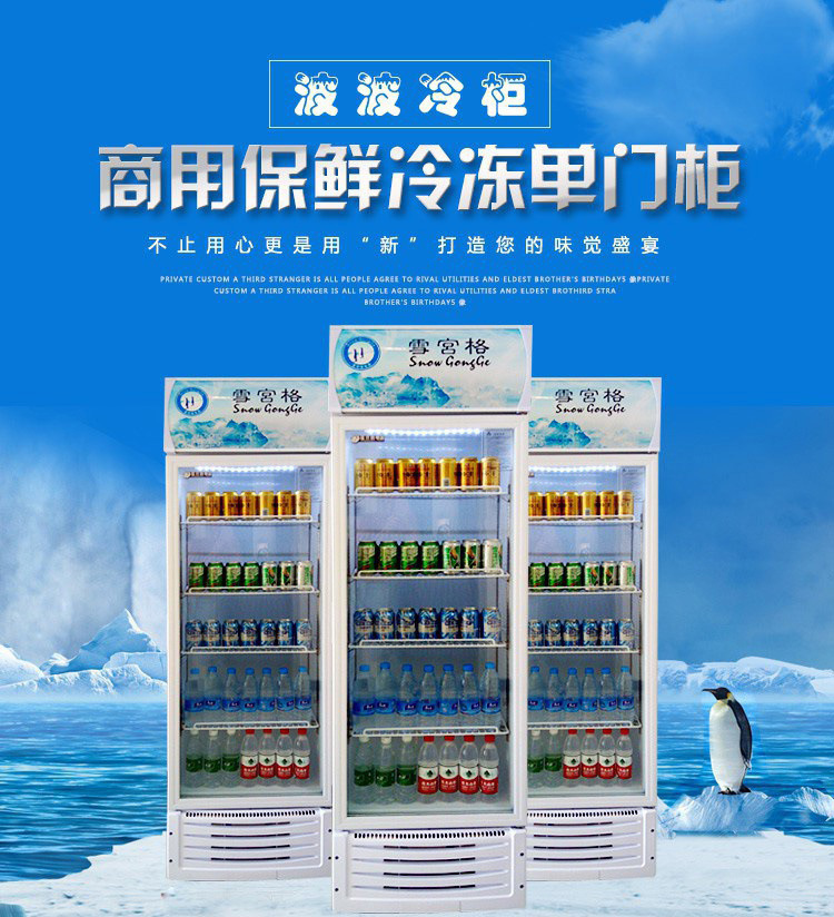 雪展示柜冷藏柜立式商用饮料冰箱啤酒饮品水果保鲜柜饮料柜单门