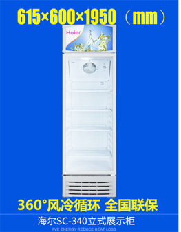 Haier/海尔SD-519C商流 卧式冷冻展示柜单温一室雪糕冷柜速冻冰柜