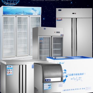 盛宝BD/BC-618卧式单温冷冻冷藏冰柜超市雪糕商用展示柜家用冷柜